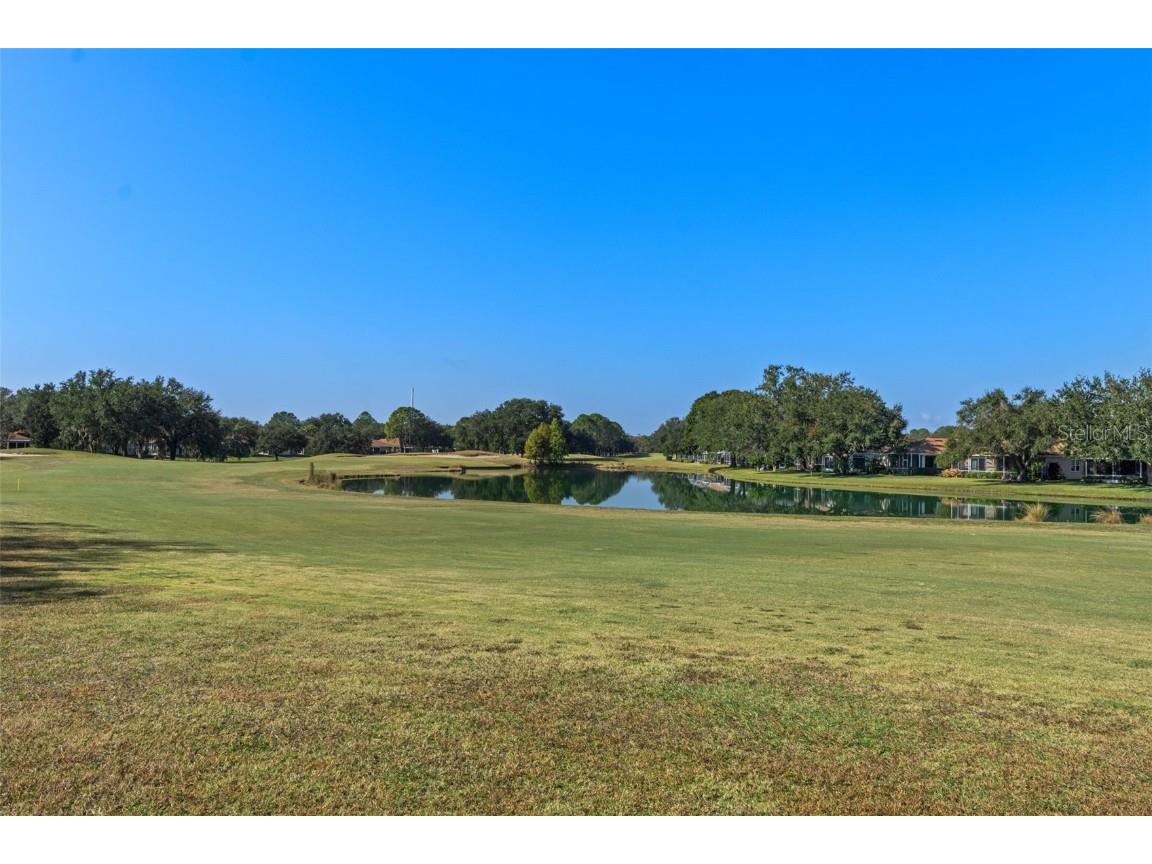 4460 Golf Club Lane Spring Hill FL 34609 W7880821 image25