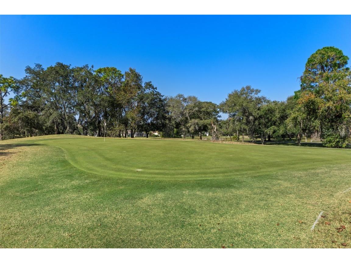 4460 Golf Club Lane Spring Hill FL 34609 W7880821 image35