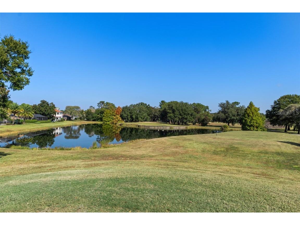 4460 Golf Club Lane Spring Hill FL 34609 W7880821 image37