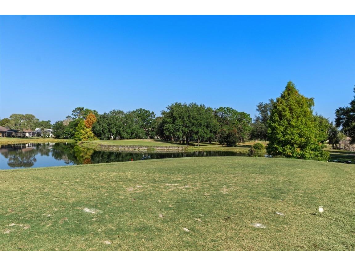 4460 Golf Club Lane Spring Hill FL 34609 W7880821 image38