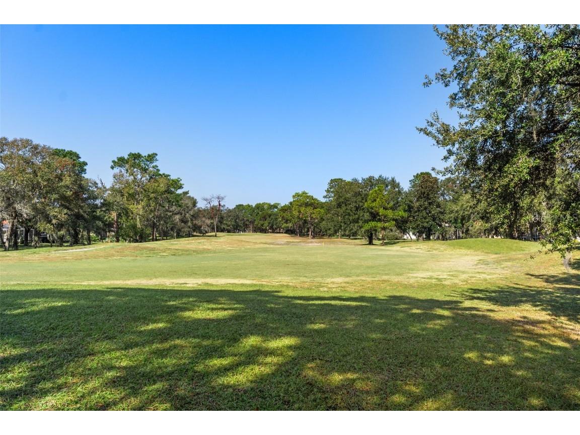 4460 Golf Club Lane Spring Hill FL 34609 W7880821 image41