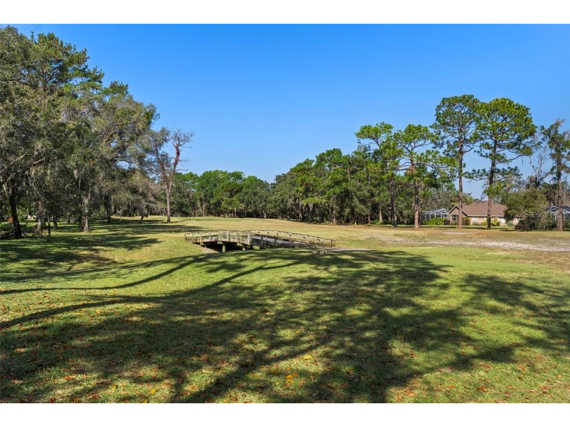 4460 Golf Club Lane Spring Hill FL 34609 W7880821 image42