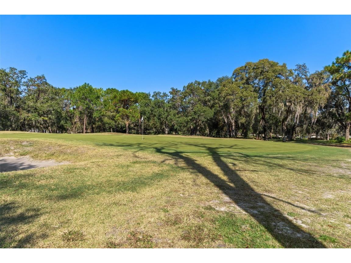 4460 Golf Club Lane Spring Hill FL 34609 W7880821 image43