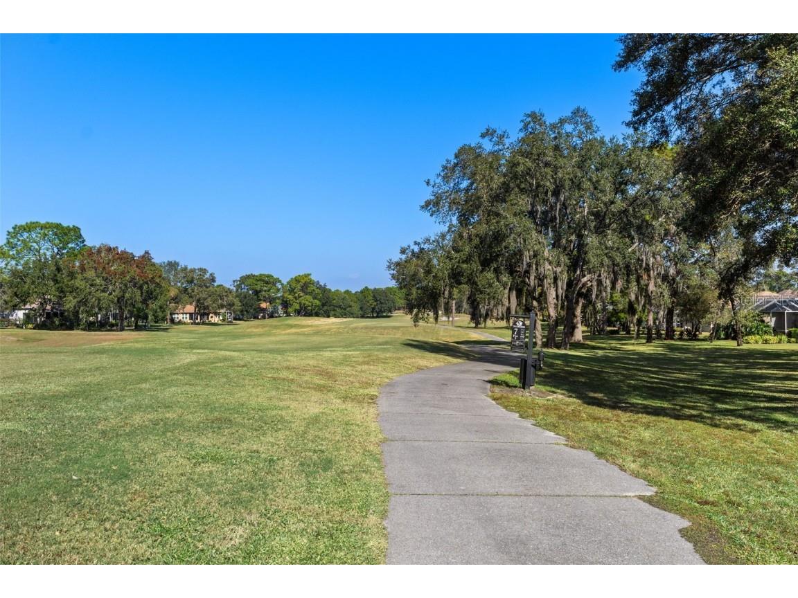 4460 Golf Club Lane Spring Hill FL 34609 W7880821 image44