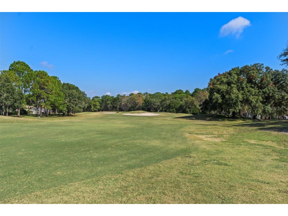 4460 Golf Club Lane Spring Hill FL 34609 W7880821 image58