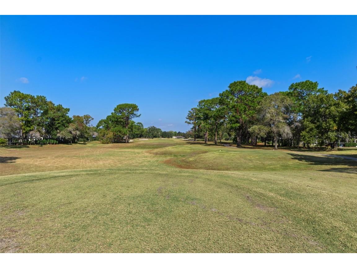 4460 Golf Club Lane Spring Hill FL 34609 W7880821 image62