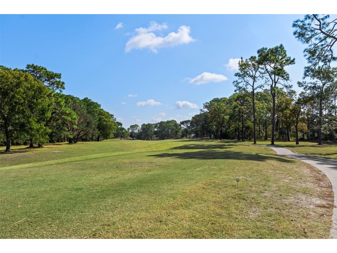 4460 Golf Club Lane Spring Hill FL 34609 W7880821 image66