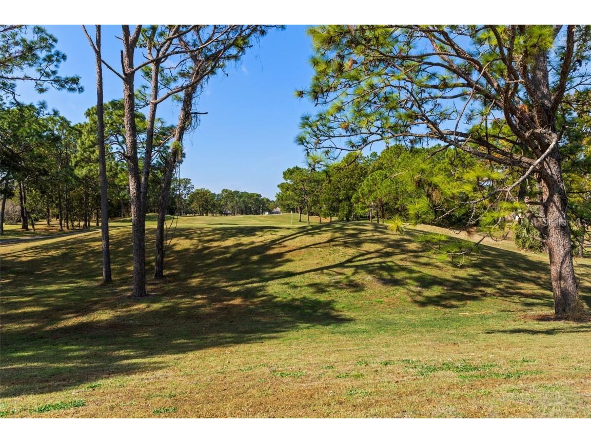 4460 Golf Club Lane Spring Hill FL 34609 W7880821 image69