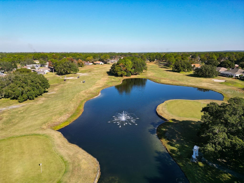 4460 Golf Club Lane Spring Hill FL 34609 W7880821 image70