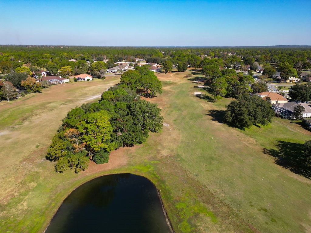 4460 Golf Club Lane Spring Hill FL 34609 W7880821 image91