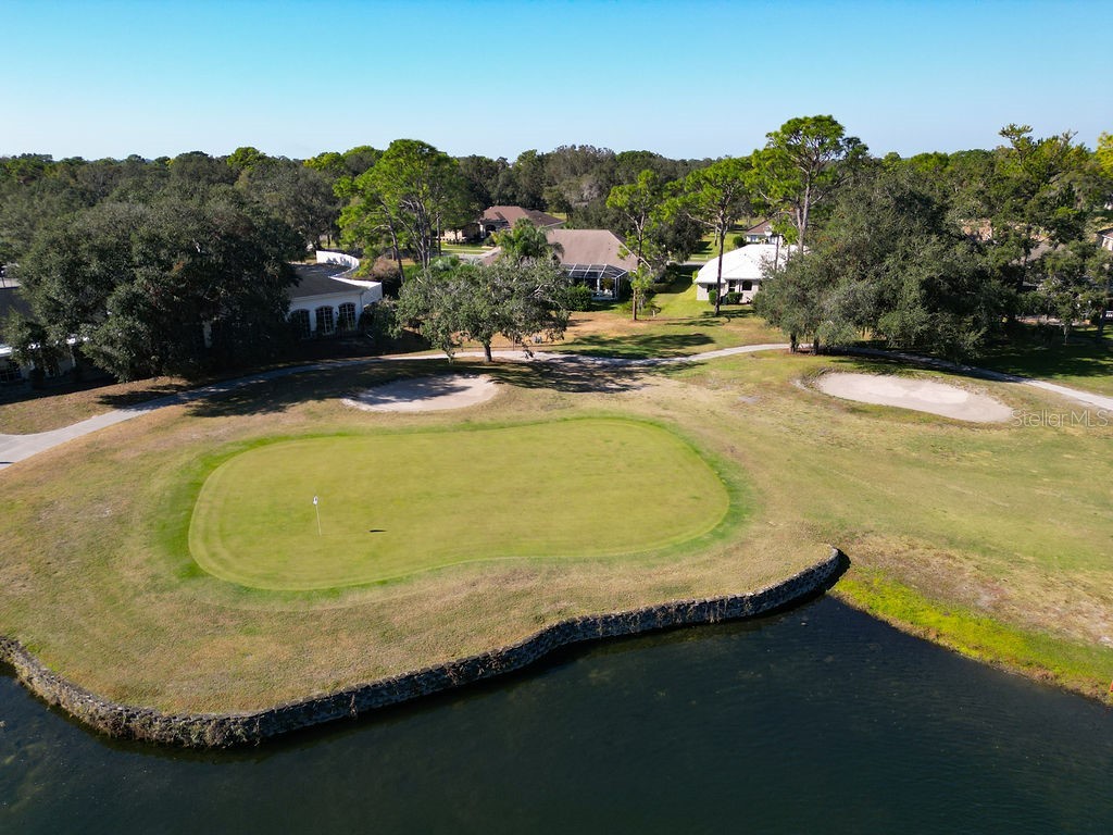 4460 Golf Club Lane Spring Hill FL 34609 W7880821 image95