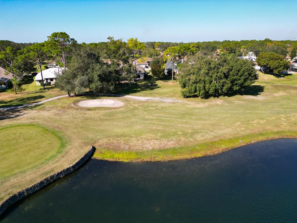 4460 Golf Club Lane Spring Hill FL 34609 W7880821 image96