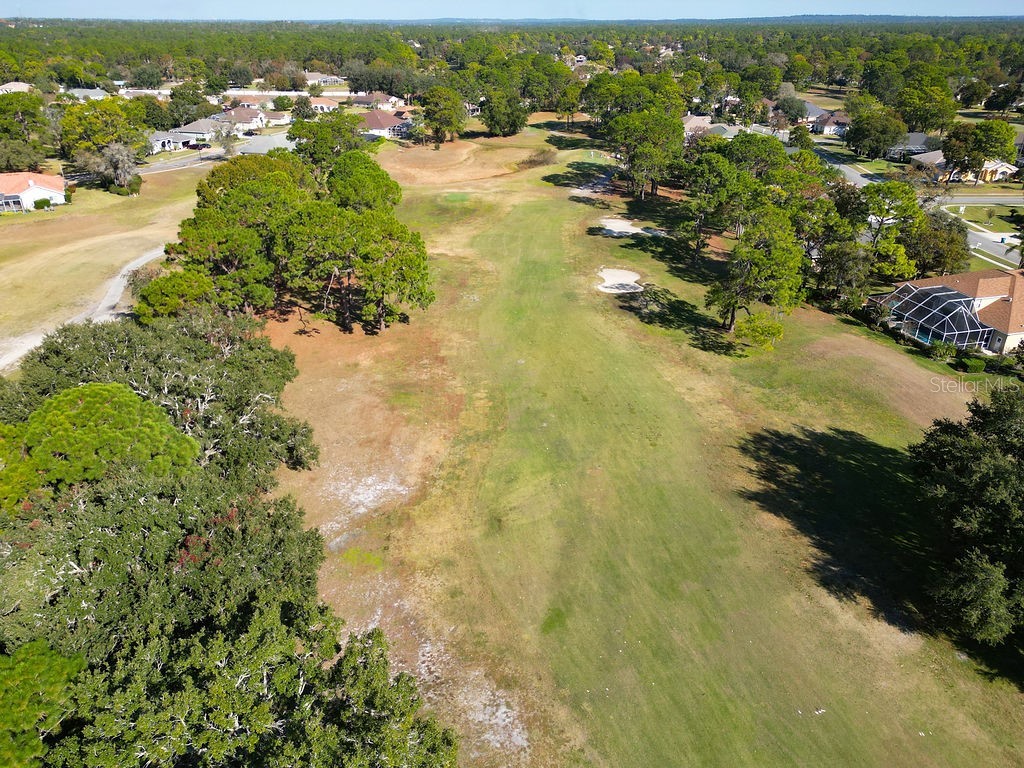 4460 Golf Club Lane Spring Hill FL 34609 W7880821 image98