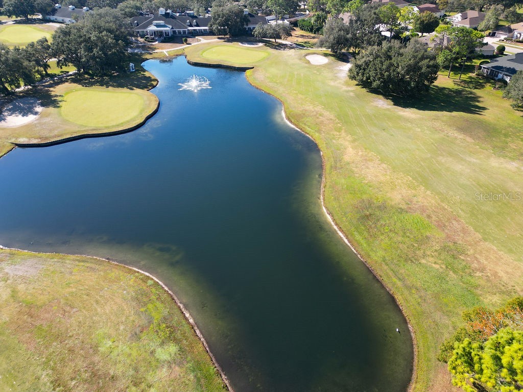 4460 Golf Club Lane Spring Hill FL 34609 W7880821 image99