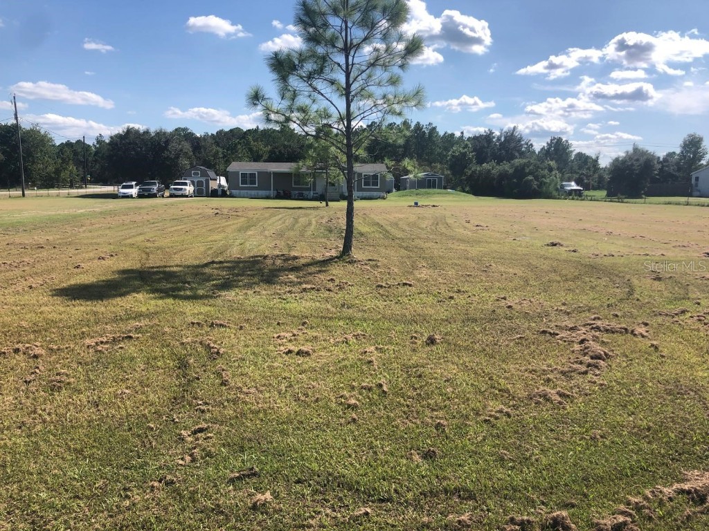 4460 Roundup Drive Polk City FL 33868 S5113195 image1