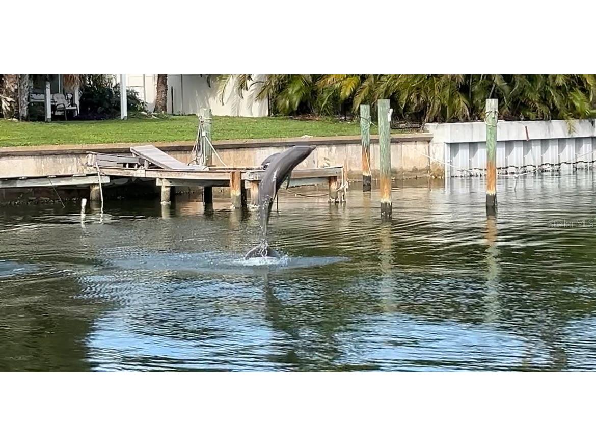4461 38th Way S Saint Petersburg FL 33711 - INTRACOASTAL - BOCA CIEGA BAY TB8449484 image39
