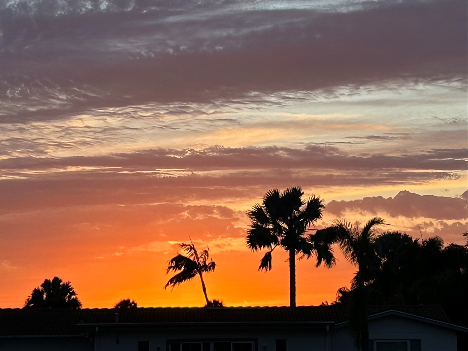 4461 38th Way S Saint Petersburg FL 33711 - INTRACOASTAL - BOCA CIEGA BAY TB8449484 image67