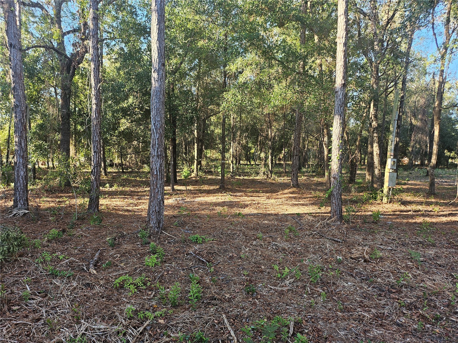 4462 & 4484 N Well View Point Crystal River FL 34428 OM720336 image2