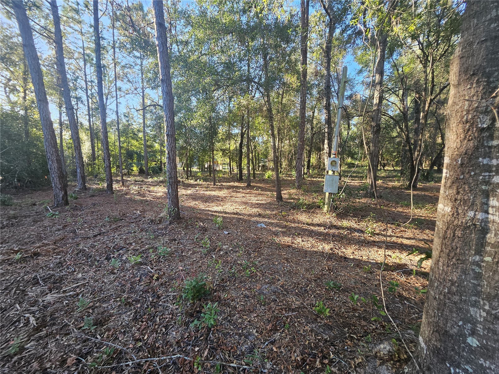 4462 & 4484 N Well View Point Crystal River FL 34428 OM720336 image3