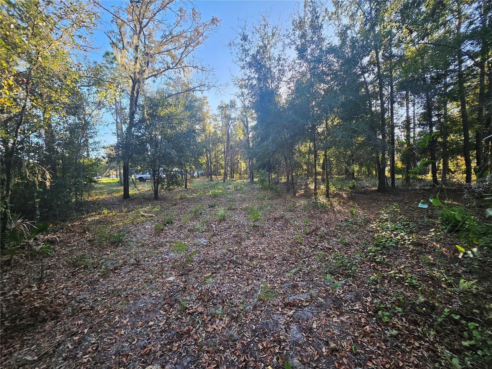4462 & 4484 N Well View Point Crystal River FL 34428 OM720336 image5