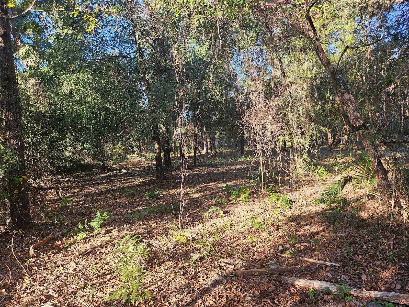 4462 & 4484 N Well View Point Crystal River FL 34428 OM720336 image6