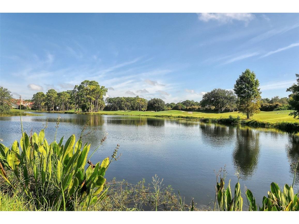 4464 Calle Serena Sarasota FL 34238 A4662305 image88