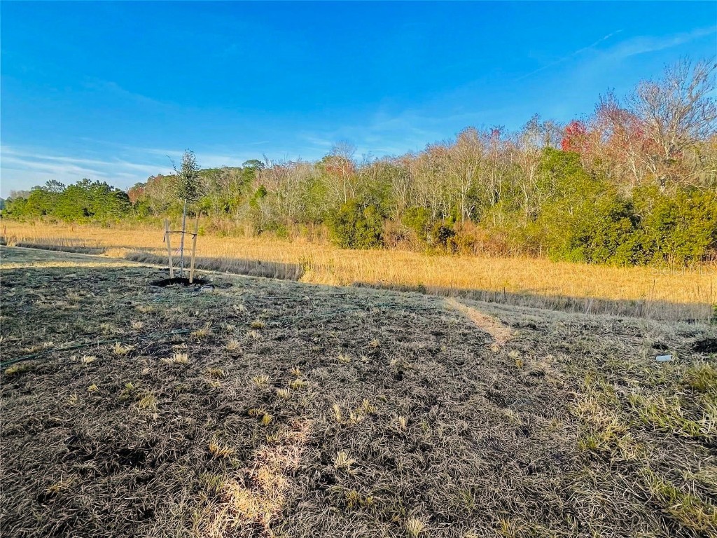 4464 Sagefield Drive Harmony FL 34773 O6276985 image8