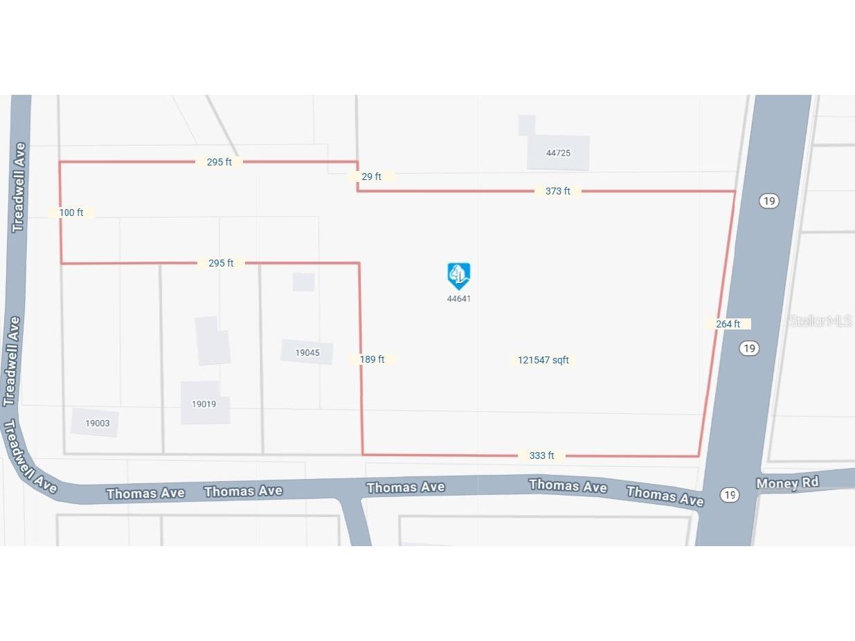 44641 State Road 19 Altoona FL 32702 OM714704 image1