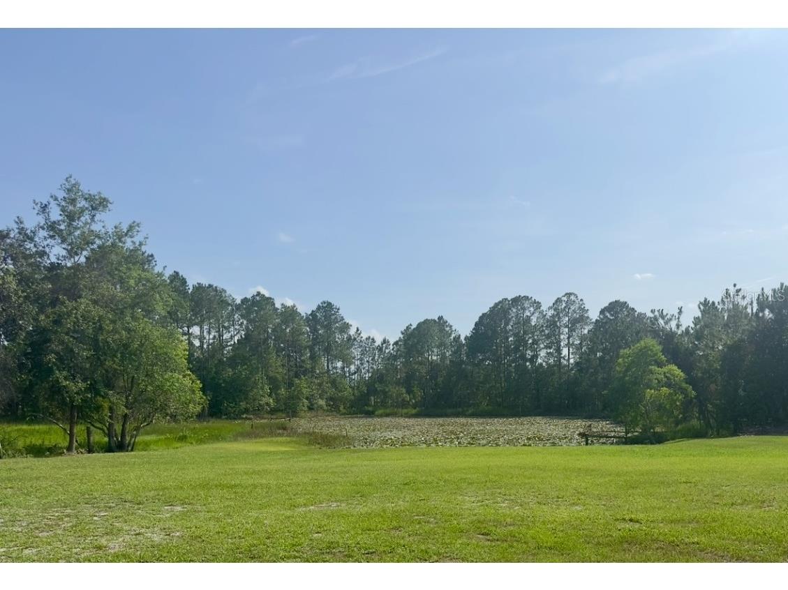 44645 Misty Isle Drive Deland FL 32720 V4943270 image11