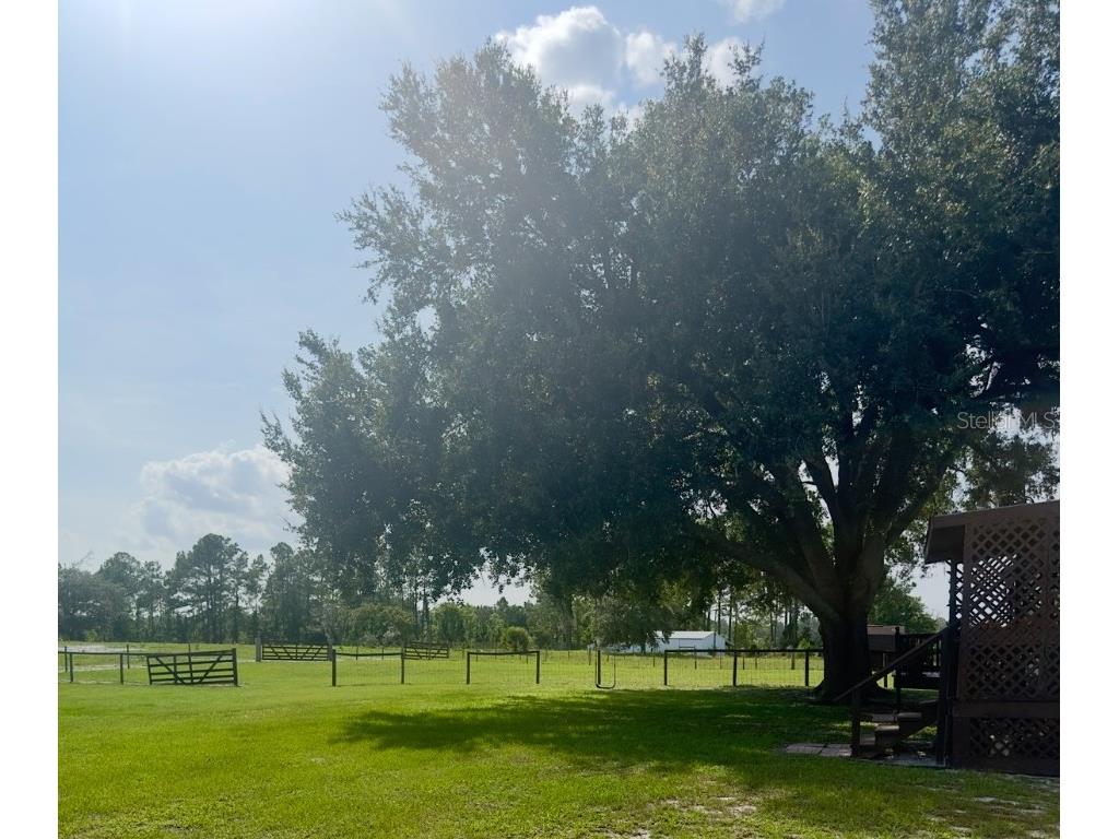 44645 Misty Isle Drive Deland FL 32720 V4943270 image12