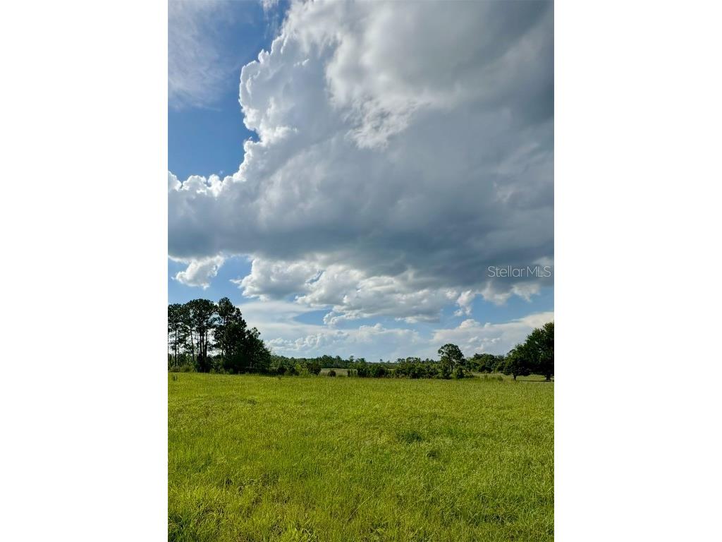 44645 Misty Isle Drive Deland FL 32720 V4943270 image13
