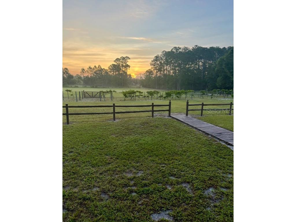 44645 Misty Isle Drive Deland FL 32720 V4943270 image14