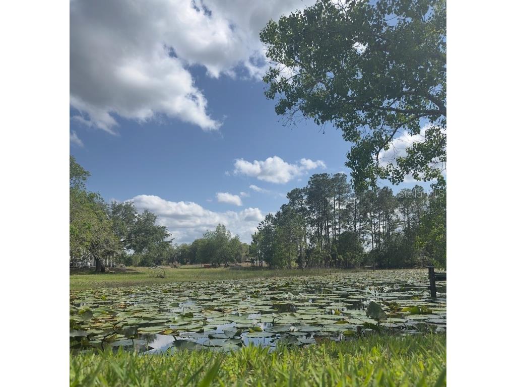 44645 Misty Isle Drive Deland FL 32720 V4943270 image15