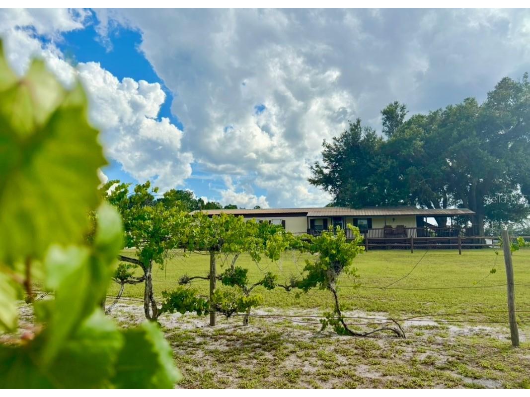 44645 Misty Isle Drive Deland FL 32720 V4943270 image7
