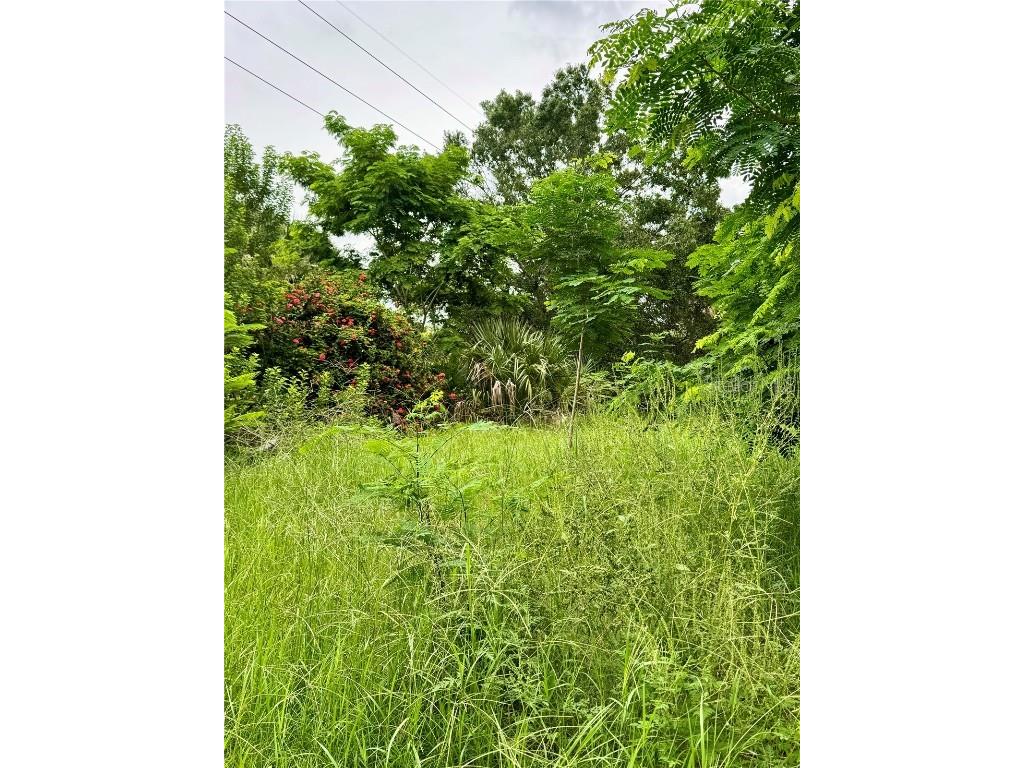 4466 Ganyard Street Punta Gorda FL 33980 C7514313 image6