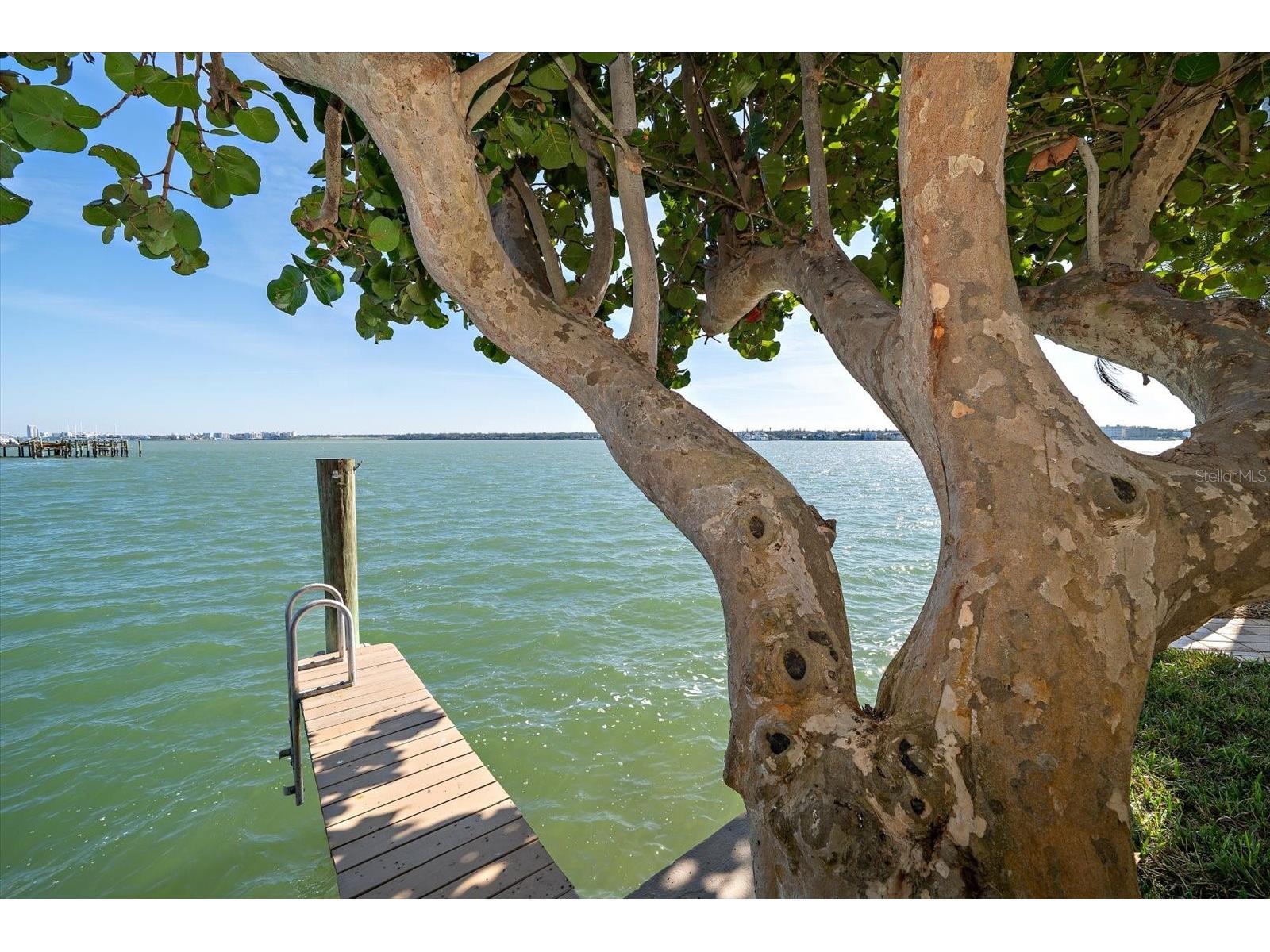 447 22nd Street Belleair Beach FL 33786 TB8354265 image70