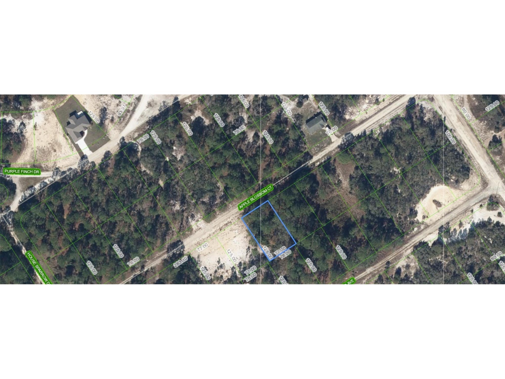 447 Apple Blossom Court Lake Placid FL 33852 OM705266 image1