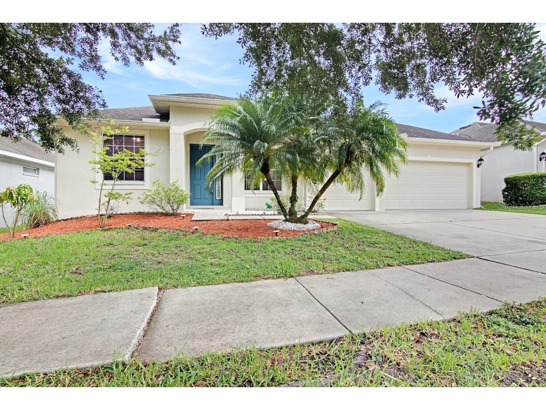 447 Arch Ridge Loop Seffner FL 33584 T3455178 image1