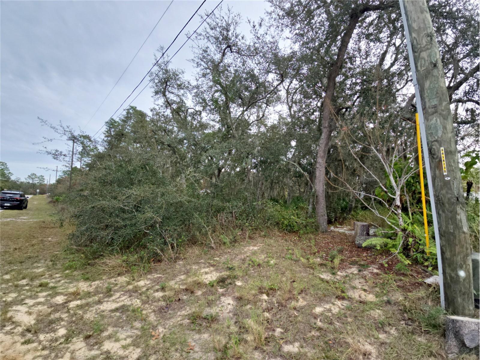 447 Rainbow Court Poinciana FL 34759 S5142442 image3