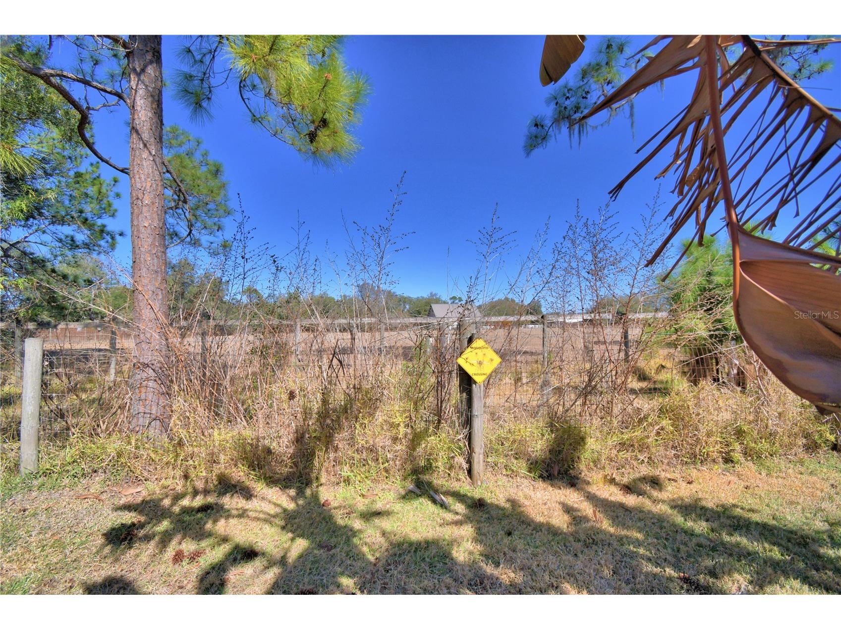 447 San Jose Drive Winter Haven FL 33884 P4937807 image43