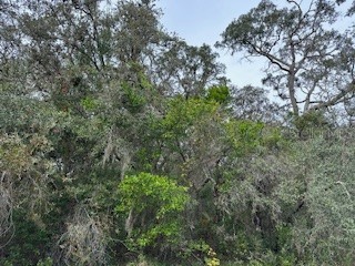 447 Trafalgar Lane Spring Hill FL 34606 W7860421 image1