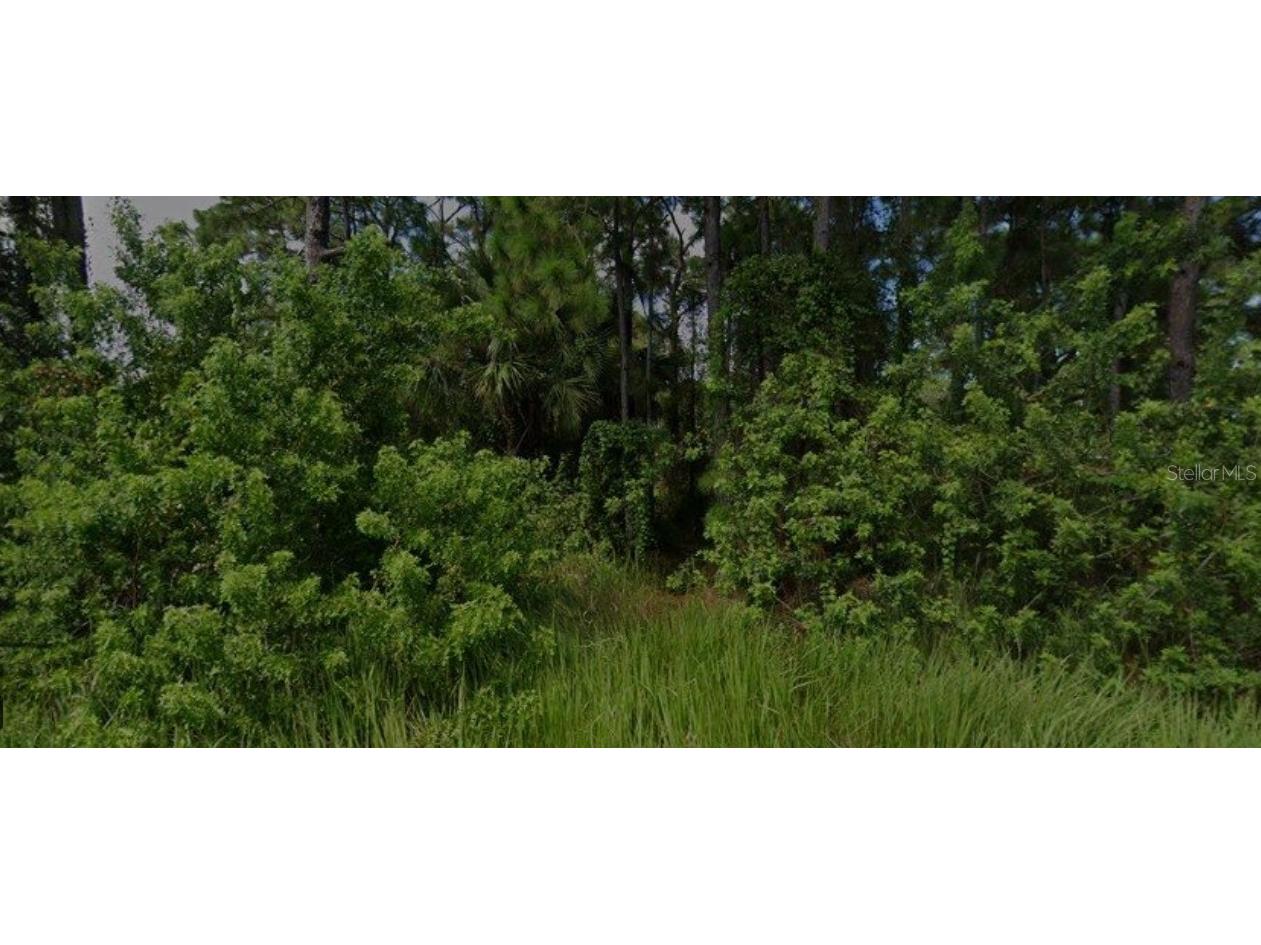 447 Trumpet Street SW Palm Bay FL 32908 O6354242 image1