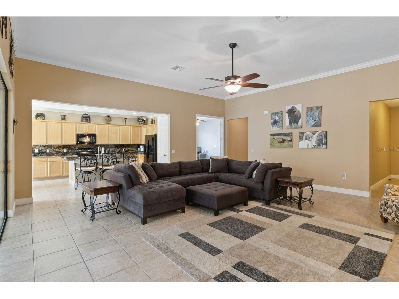 447 Villa Park Road Kissimmee FL 34759 O6382686 image8