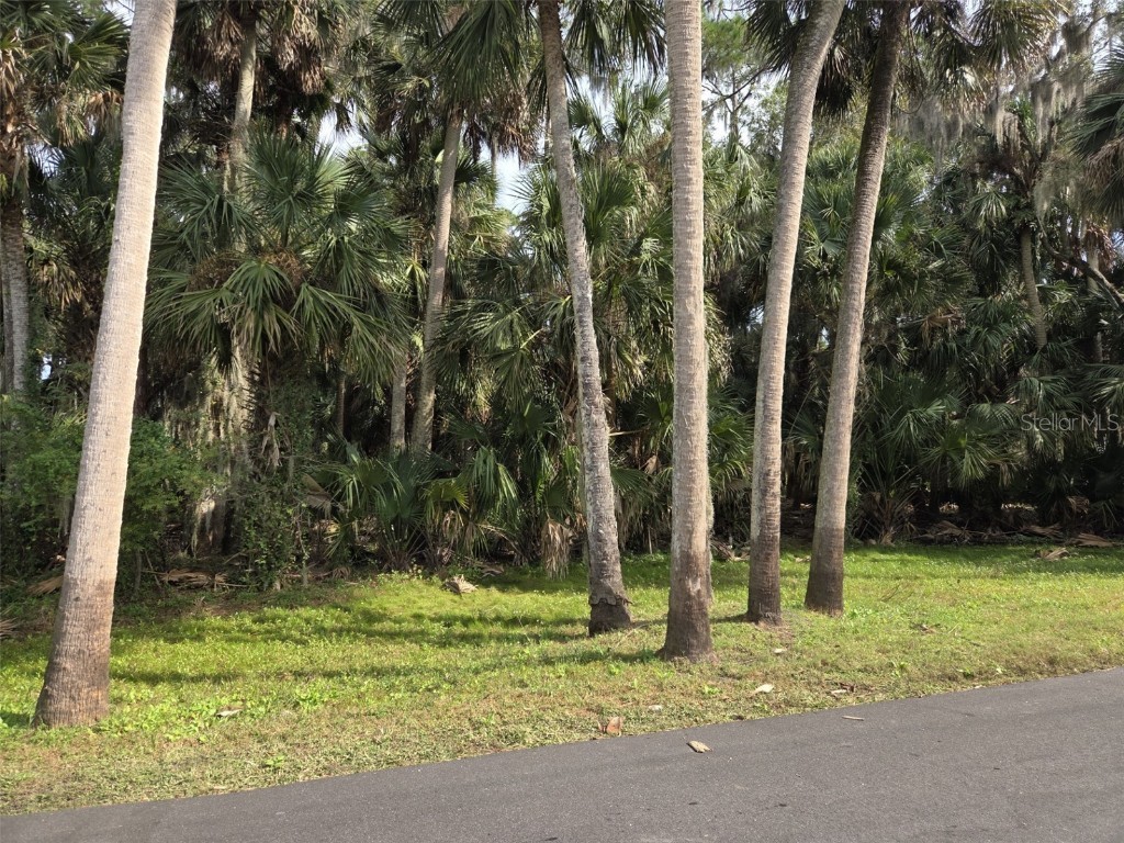 447 Warrior Trail Deltona FL 32725 - LAKE MONROE O6362872 image4