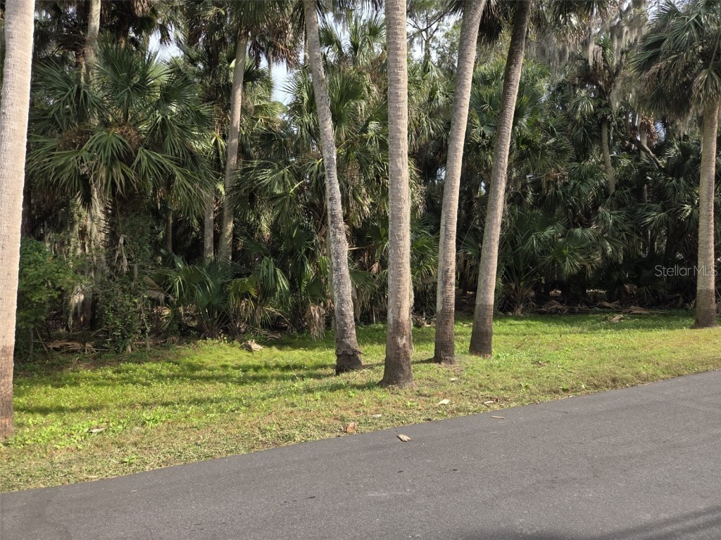 447 Warrior Trail Deltona FL 32725 - LAKE MONROE O6362872 image5