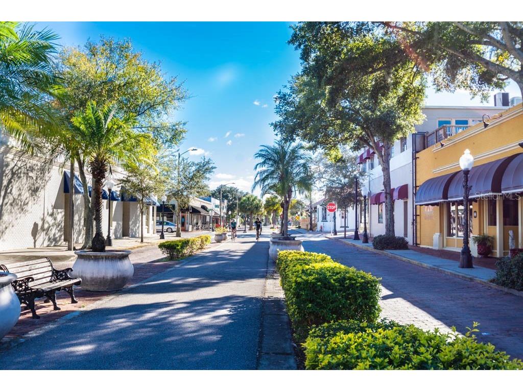 447 Whispering Lakes Boulevard Tarpon Springs FL 34688 TB8514762 image73