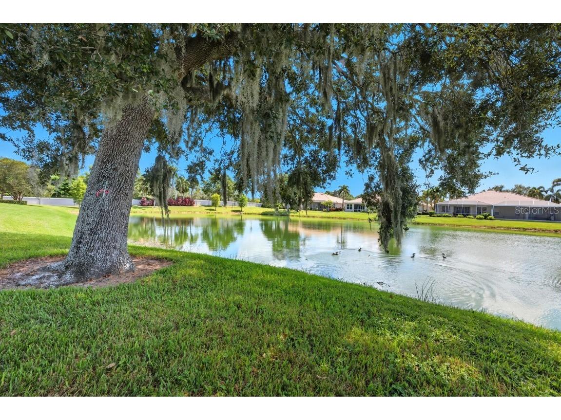 4470 Kariba Lake Terrace Sarasota FL 34243 A4665968 image33