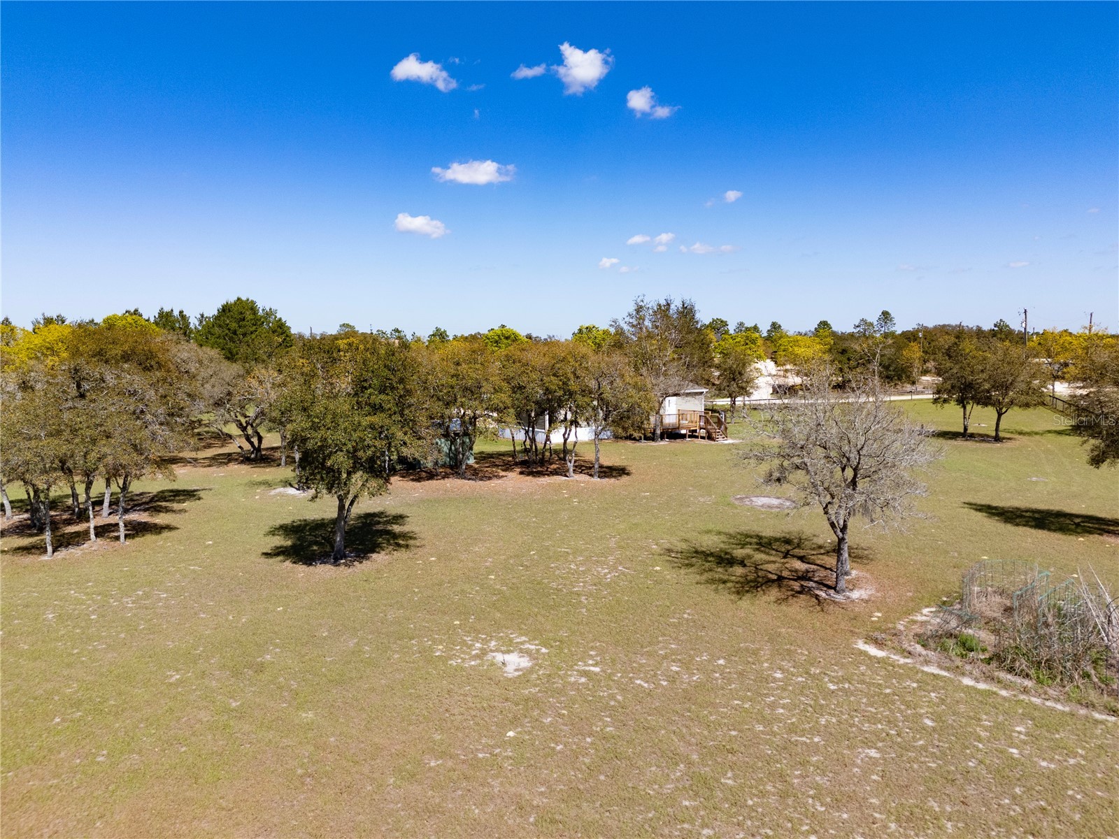 4470 NE 121st Avenue Williston FL 32696 OM721391 image10