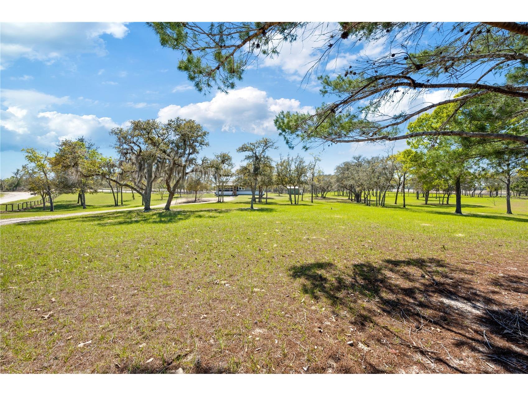4470 NE 121st Avenue Williston FL 32696 OM721391 image12
