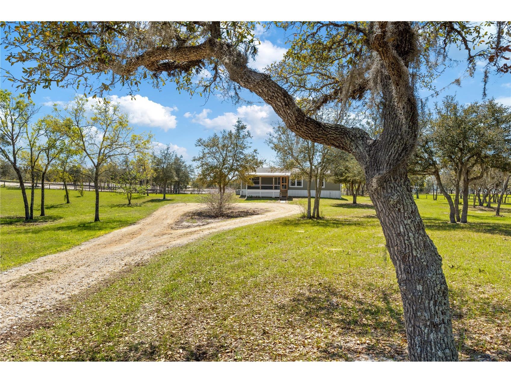 4470 NE 121st Avenue Williston FL 32696 OM721391 image3